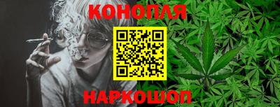 крисы Коммунар