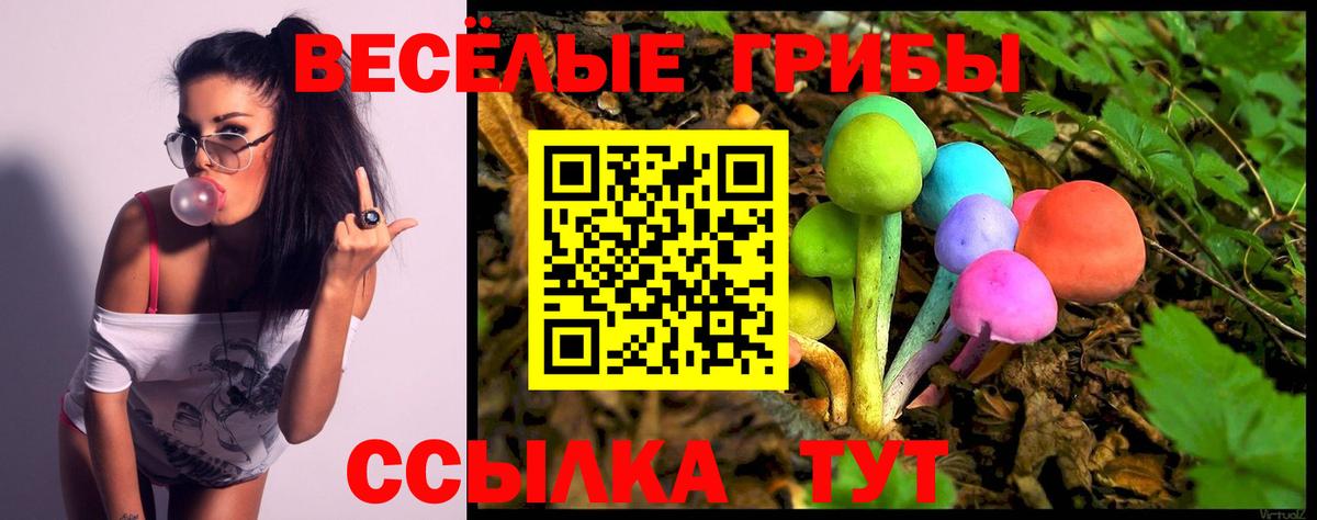 Псилоцибиновые грибы ЛСД  Вход с VPN  Аксай  Галлюциногенные грибы ЛСД 